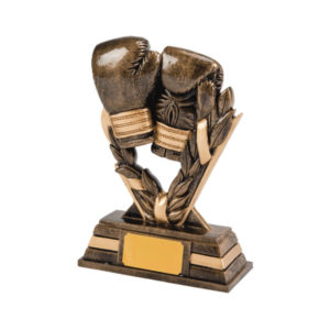 Boxing Gloves Award 16.5cm
