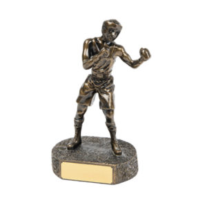 Boxing Award Trophy 21cm