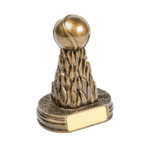 GAA Hurling Sliotair Award