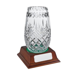 Glass Award Crystal 25cm