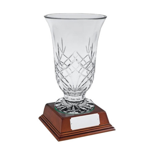Glass Award Crystal 32cm