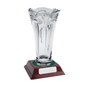 Glass Award Crystal 40cm
